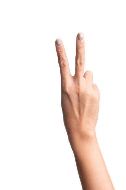 istock Girl hands gesture isolated on white 1164065245