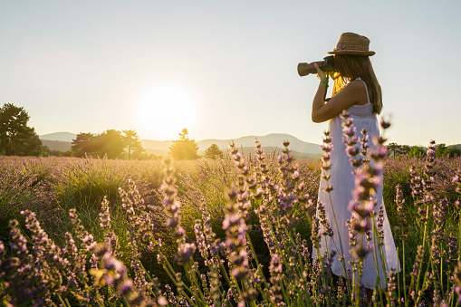 Lavender - Plant, Camera, Photography, One Woman Only, Only Women