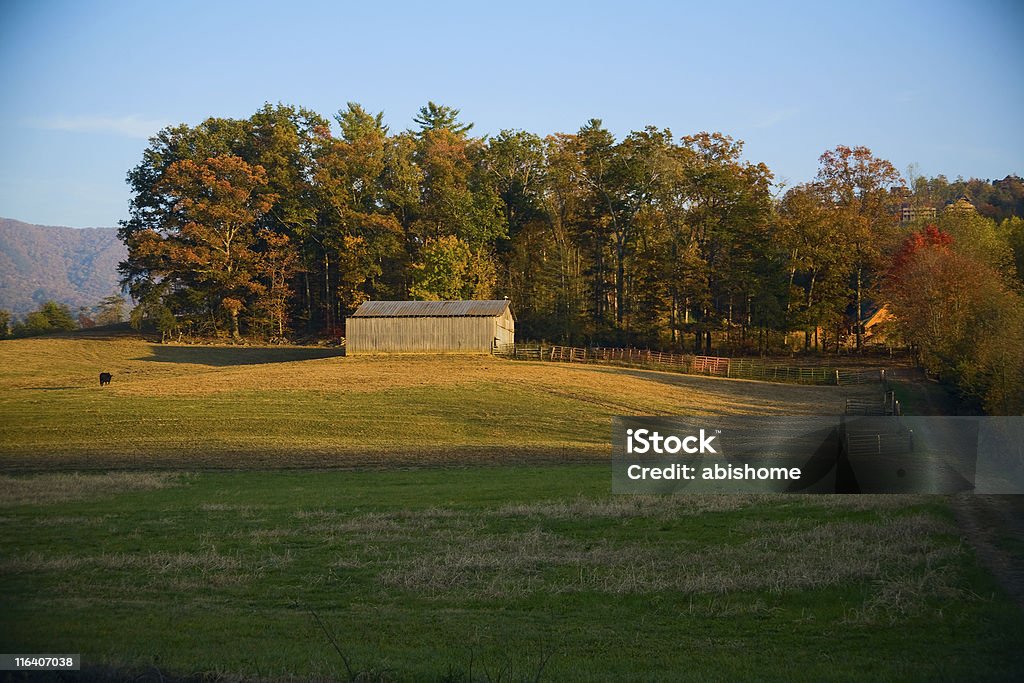 rural tennessee farm in Wears Valley Tennessee Stock Photo