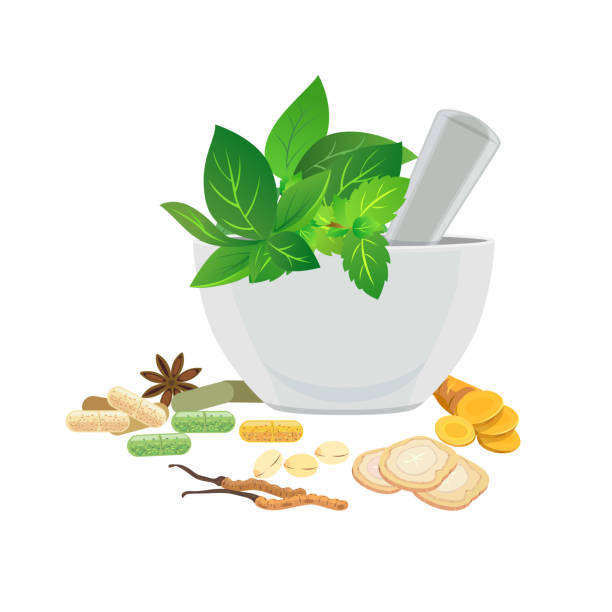 illustrations, cliparts, dessins animés et icônes de médecine2 - pilon et mortier