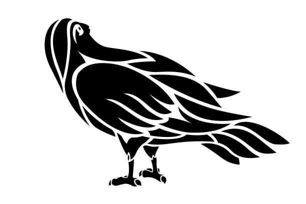Illustration for tattoo with black bird silhouette Beautiful illustration for tattoo with black bird silhouette on white background parrot silhouette stock illustrations