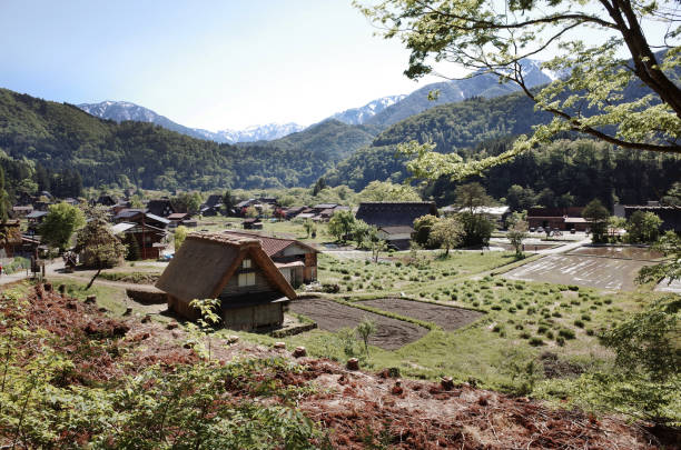 view of village shirakawa-go, japan in summer - l unesco imagens e fotografias de stock