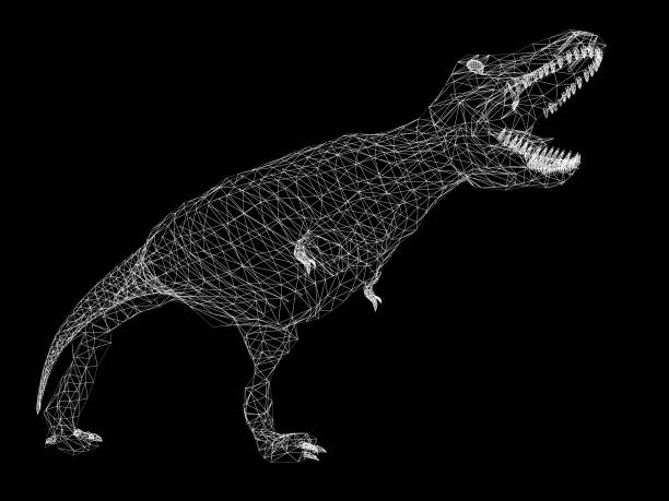 Dinosaurios Tyrannosaurus Marco De Alambre De Renderizado 3d Foto de stock y más banco de imágenes de Animal - iStock Dinosaurios Tyrannosaurus Marco De Alambre De Renderizado 3d Foto de stock y más banco de imágenes de Animal - iStock
