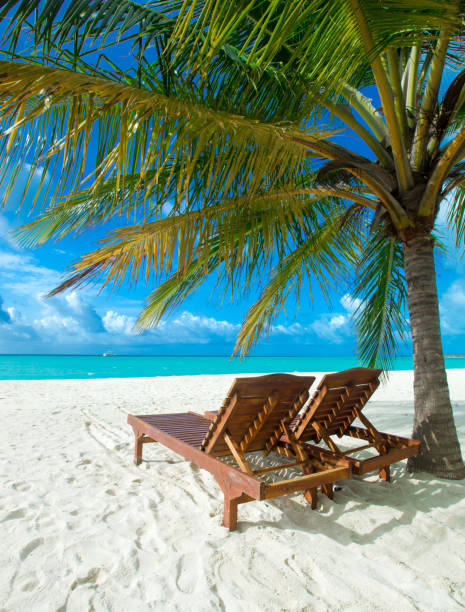 istock tropical Maldives island with white sandy beach and sea 1164081829