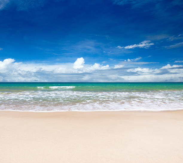 istock tropical Maldives island with white sandy beach and sea 1164081852