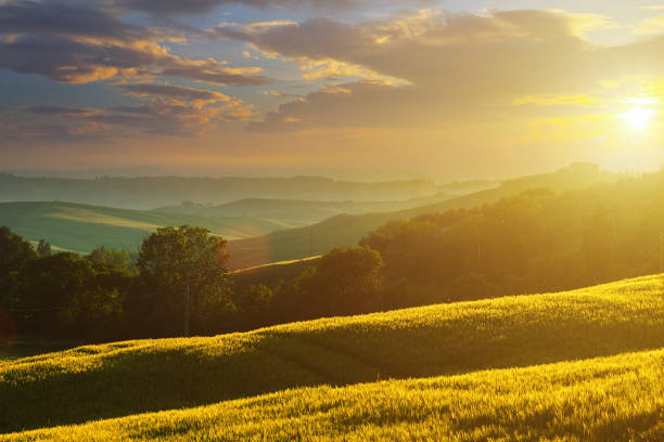 istock Sunrise in Tuscany 1164084178