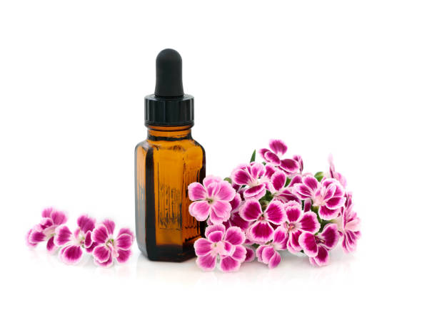 istock Dianthus Flowers Herbal Medicine 1164089871