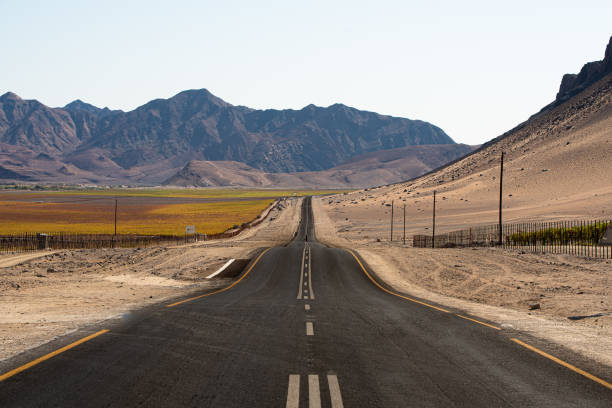 inviting tar road leading to mountainous back ground