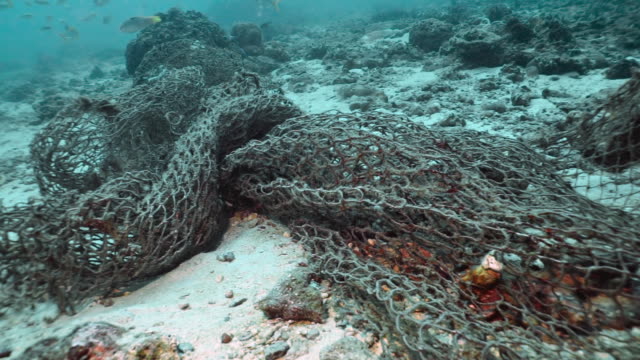 Underwater marine life trapped in discarded Ghost Net fishing net