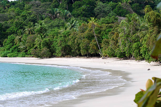 white sand beach with turquoise water and forest beyond Deserted tropical white sand beach with turquoise water. Parque Nacional Manuel Antonio, Costa Rica. manuel antonio national park stock pictures, royalty-free photos & images