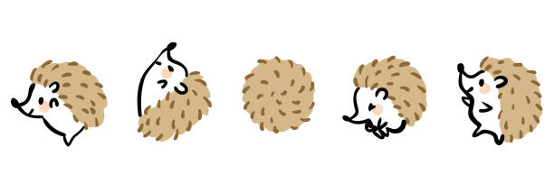 Illustration set of cute hedgehogs. Illustration set of cute hedgehogs. hedgehog stock illustrations