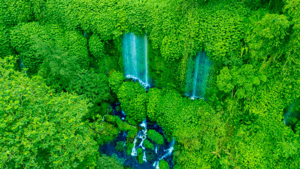 istock Benang Kelambu waterfall in the tropical forest 1164092938