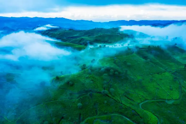 Aerial view of foggy morning above tea plantation hill in Bandung, Indonesia