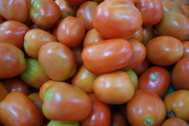 istock Fresh tomato in the vegetable market 1164093926