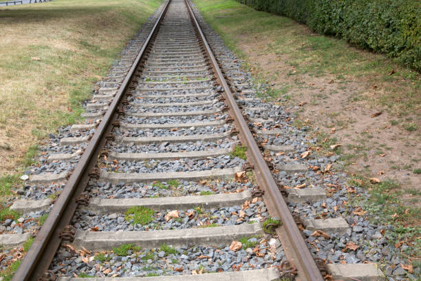 istock Railway Track in Green Surroundings, Frankfurt 1164094021