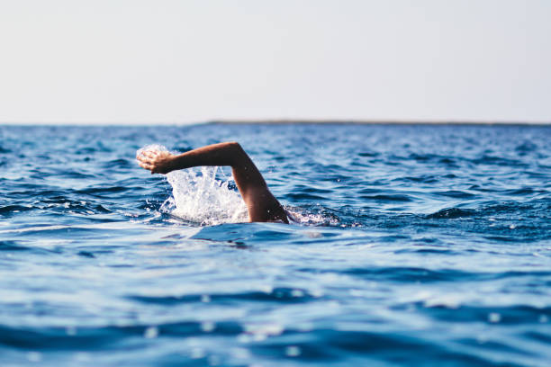 istock Swimmer training on the open sea / ocean. 1164094127