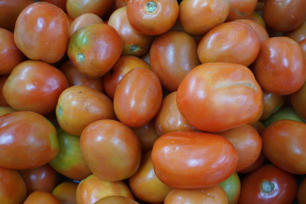 istock Fresh tomato in the vegetable market 1164094220