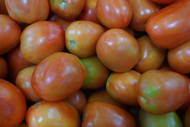 istock Fresh tomato in the vegetable market 1164094235