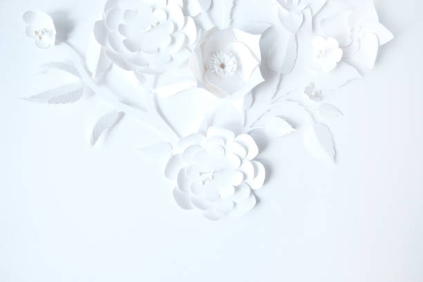 istock White paper flowers on white background. Cut from paper. 1164094419