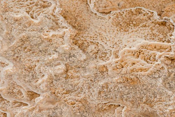 istock thermal springs and limestone formations at mammoth hot springs in Wyoming 1164094471