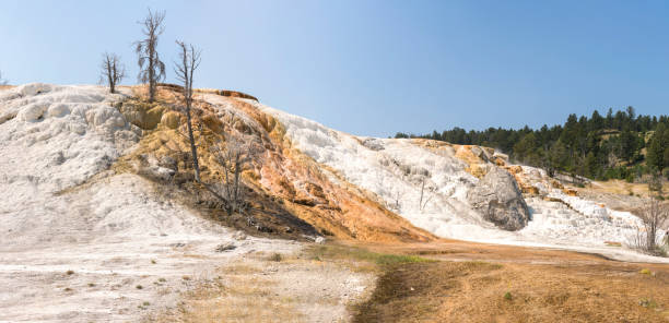 istock thermal springs and limestone formations at mammoth hot springs in Wyoming 1164094533