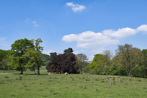 istock Hathersage Meadowland 3, Derbyshire, England 1164095976
