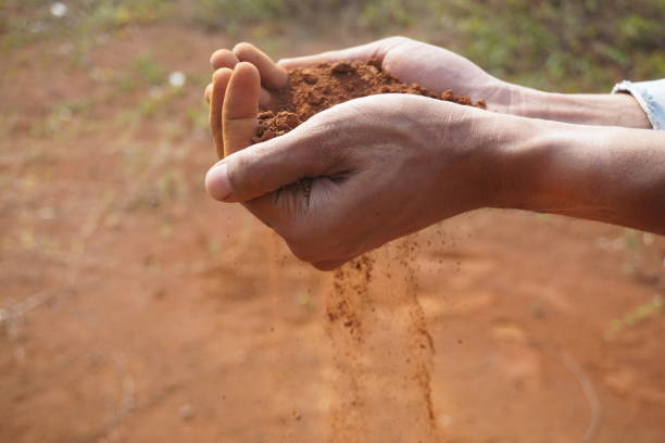 istock Hand man holding red soil dust on the blur background 1164096696