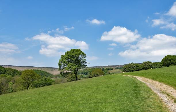 istock View of Stannage Edge 1, Derbyshire, England 1164096844