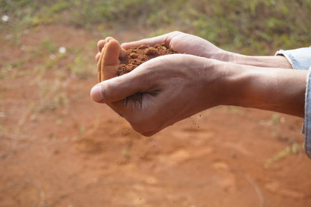 istock Hand man holding red soil dust on the blur background 1164096940