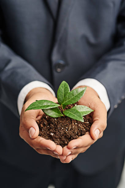 istock Nurture it, the results will be fantastic 1164097454