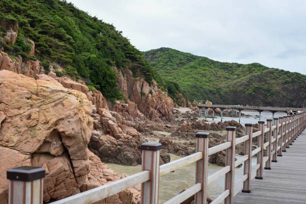 istock Rocky shore of Hanagae beach during low tide 1164098997