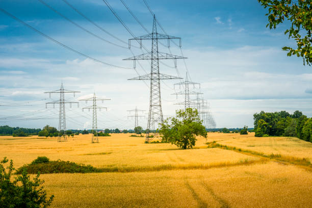 istock Electricity Pylon in a wheat field 1164099345