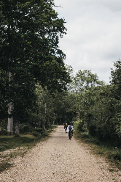 People cycling between tall trees on a gravel path inside New Forest, Dorset, UK. New Forest National Park, UK - July 13, 2019: Rear view of people cycling between tall trees on a gravel path inside New Forest, a famous National Park in Dorset, UK. new forest tall trees stock pictures, royalty-free photos & images