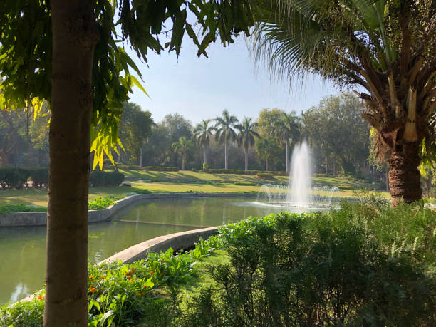 bild von indischen tropischen park mit kokospalme, grünen rasen gras, große manmade see / teich und spektakuläre brunnen wasser feature spritzen in den wasserreflexionen foto, neu-delhi, indien - garden feature stock-fotos und bilder