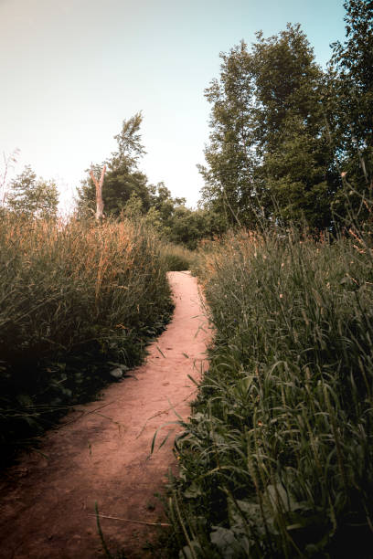istock Trail leading to Fork of the credit 1164106008