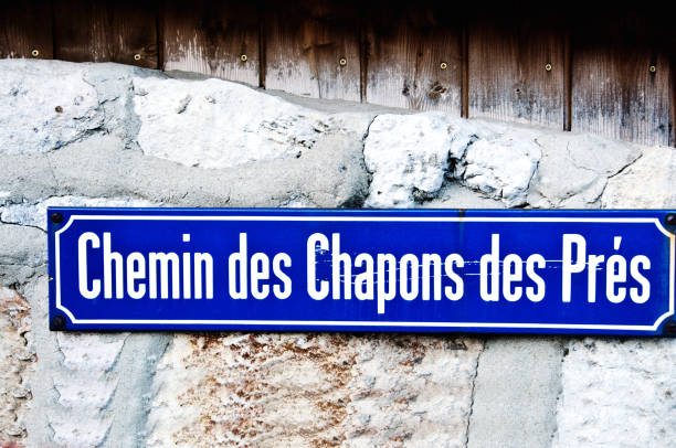 istock Street name sign: Route des Chapons-des-Pres, Bevaix - Switzerland 1164106087
