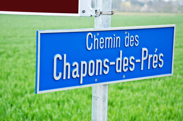 istock Street name sign: Route des Chapons-des-Pres, Bevaix - Switzerland 1164106177