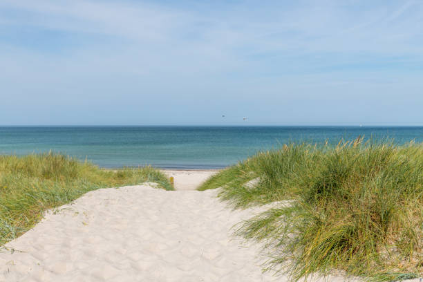 istock German Baltic Sea coast with sand dunes, grass, water and sky 1164107609