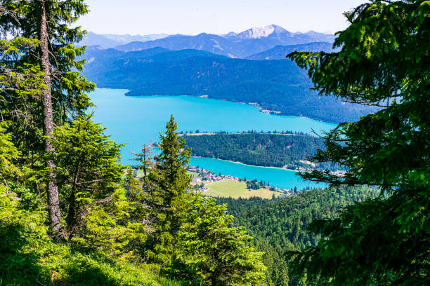 istock The view from the Herzogstand on the beautiful Walchensee 1164108388