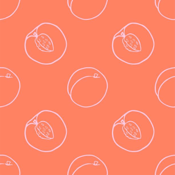 illustrations, cliparts, dessins animés et icônes de décrivez le modèle sans couture de fruit de pêche. - peach fruit backgrounds textured