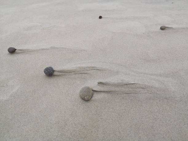 istock Texture of sand on the beach with small stones. Background. 1164112525