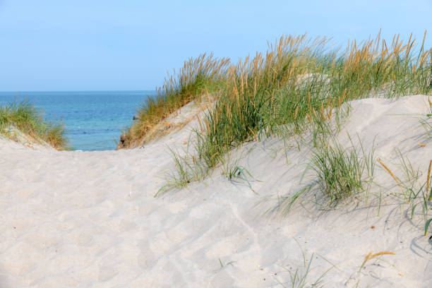 istock German Baltic Sea coast with sand dunes, grass, water and sky 1164112782