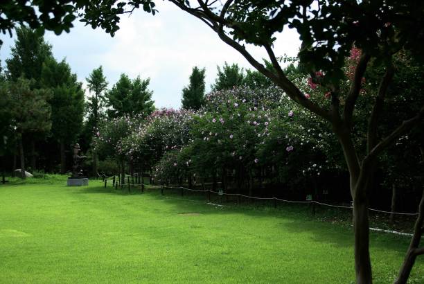 istock take pictures in a restful arboretum 1164115782