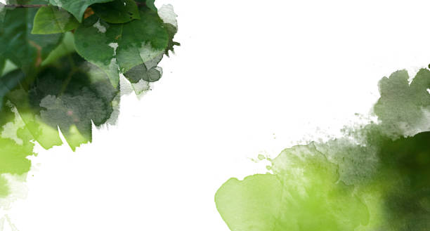 abstract green watercolor background stock photo