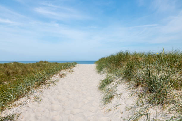 istock German Baltic Sea coast with sand dunes, grass, water and sky 1164122633