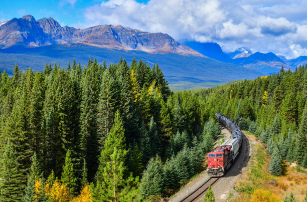 train comtainer se déplaçant le long de la rivière bow dans les rocheuses canadiennes, parc national banff, canada - bow valley photos et images de collection