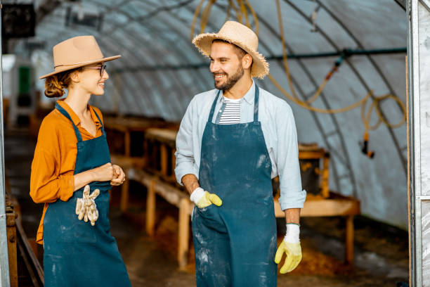 istock Two farmers on a farm for growing snails 1164129613