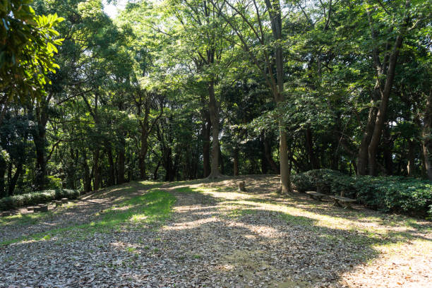 istock Hachimanyama Park Square in the woods 1164130867