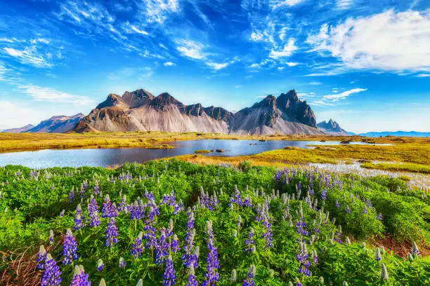 Photo of Stokksnes cape in Iceland