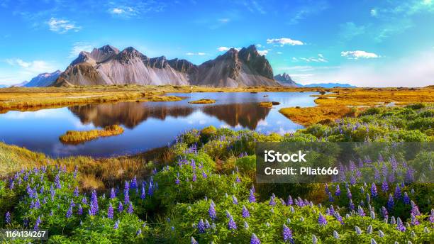 Stokksnes Cape In Iceland Stock Photo - Download Image Now - Iceland, Landscape - Scenery, Nature
